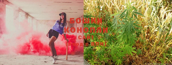 прущие крисы Балахна