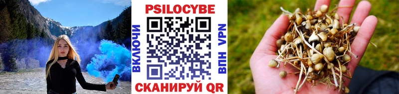 Галлюциногенные грибы Cubensis  магазин продажи   Моршанск 